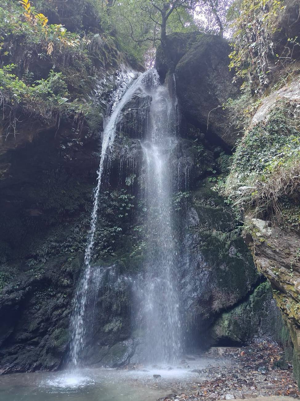 Cedar & Pine Treehouse — Waterfall & Village, photo 4 of 7